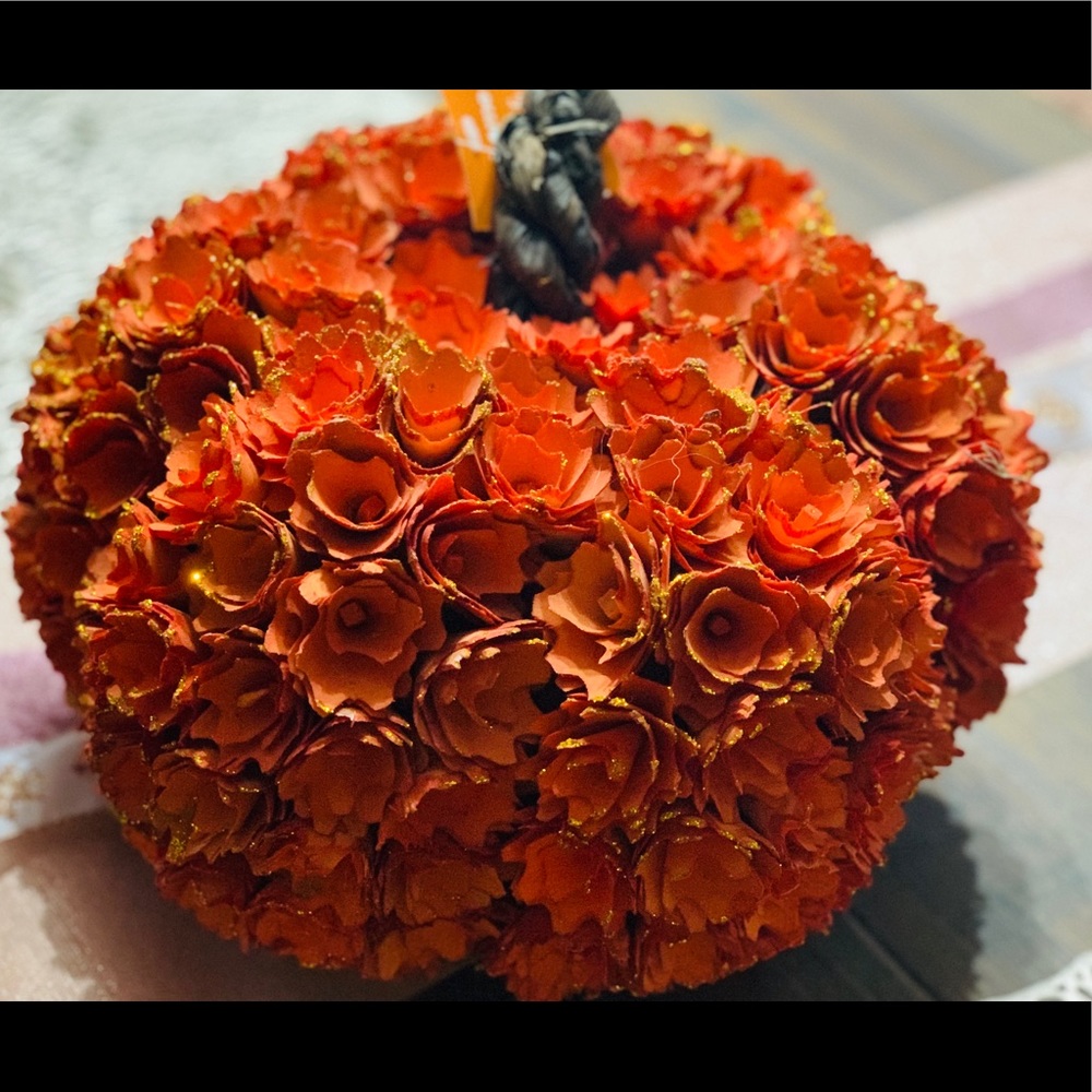 Fall Thanksgivings pumpkin!